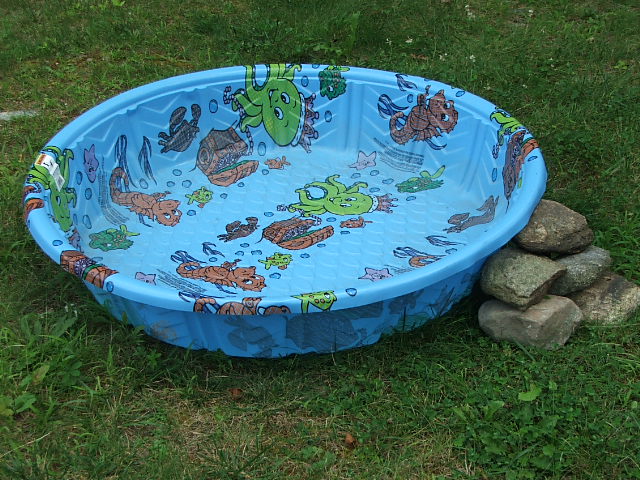mini plastic pool